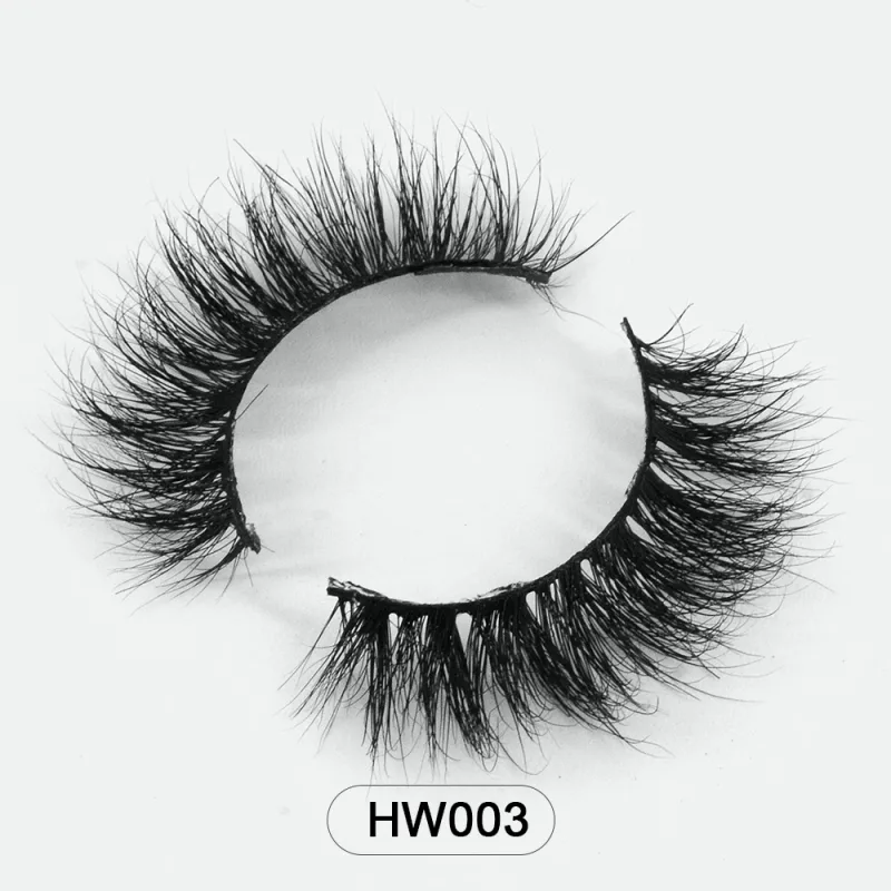 HW003