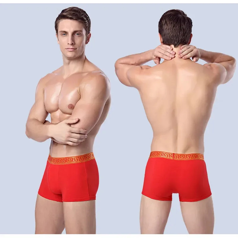 Pakaian Dalam Pria Boxer Merah Pernikahan Katun untuk Pria — image 9