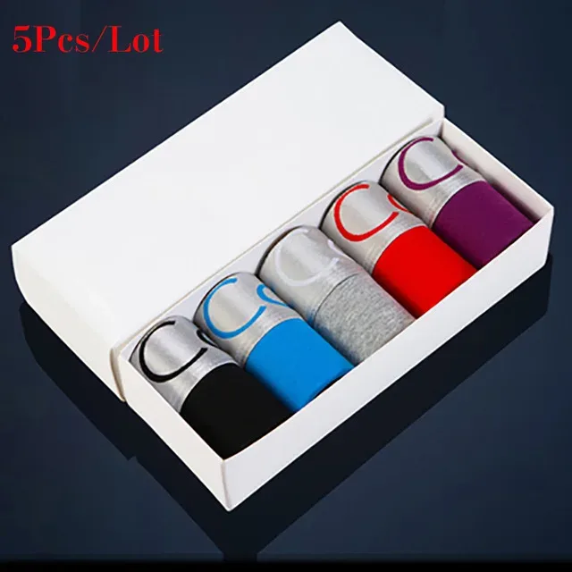 5PCS Men Underwear Boxers Men's Underpants Cotton Solid Sexy Cueca Brand Boxer For Mens Cotton Shorts Panties Calzoncillos 2024 — image 1