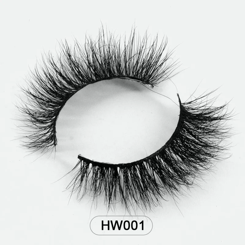 HW001