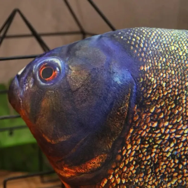 Sofa Kissen Barsch Simulation Fisch Kissen Gefüllte PP Baumwolle Cartoon Fisch Weiche Zackenbarsch Fisch Anime Kissen Hause Dekoration — image 3