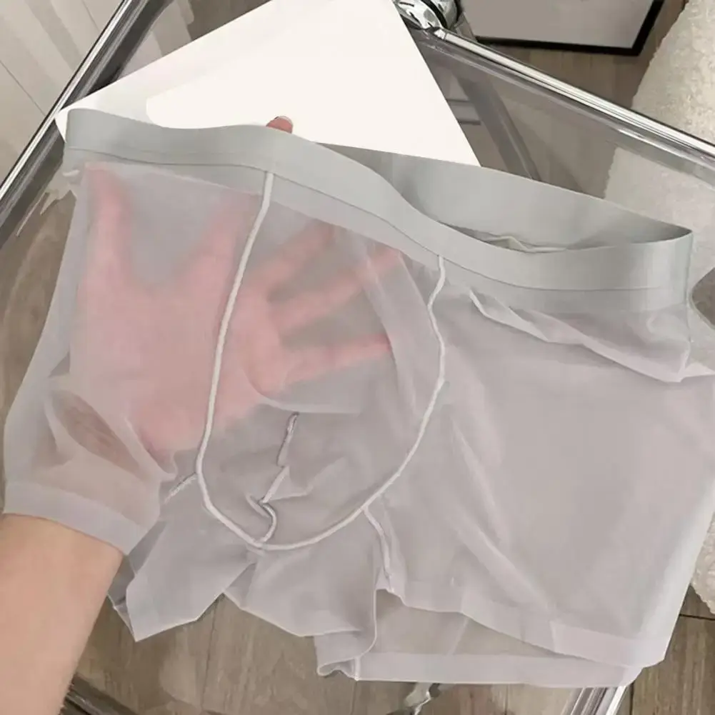 Men Boxer Transparent Lightweight Men Underwear Elastic Mid-Waist U-Convex Thin Perspective Shorts Briefs Seamless Panties — image 11