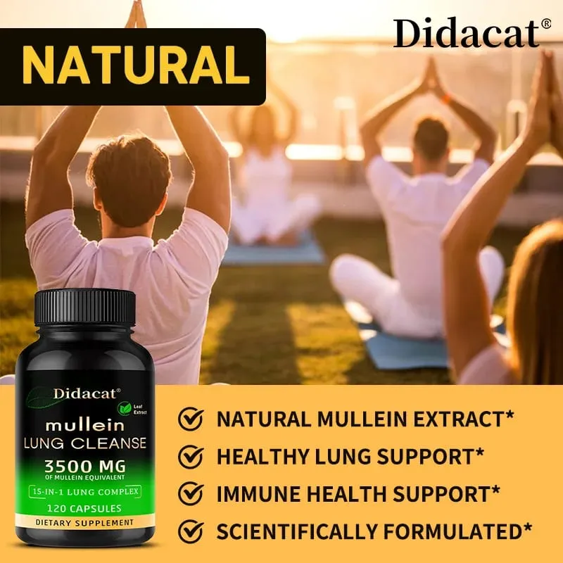 Integratore di estratto di foglie di verbasco Vitamina C Minerale Pulizia polmonare Supporto del sistema immunitario 120 capsule Integratore sanitario — image 3