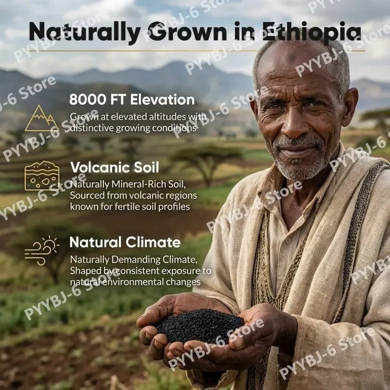 Ethiopische zwarte zaadolie Biologisch koudgeperst immuunsysteemondersteuningssupplement 60 softgels voor gewrichtsgezondheid en antioxidantbescherming