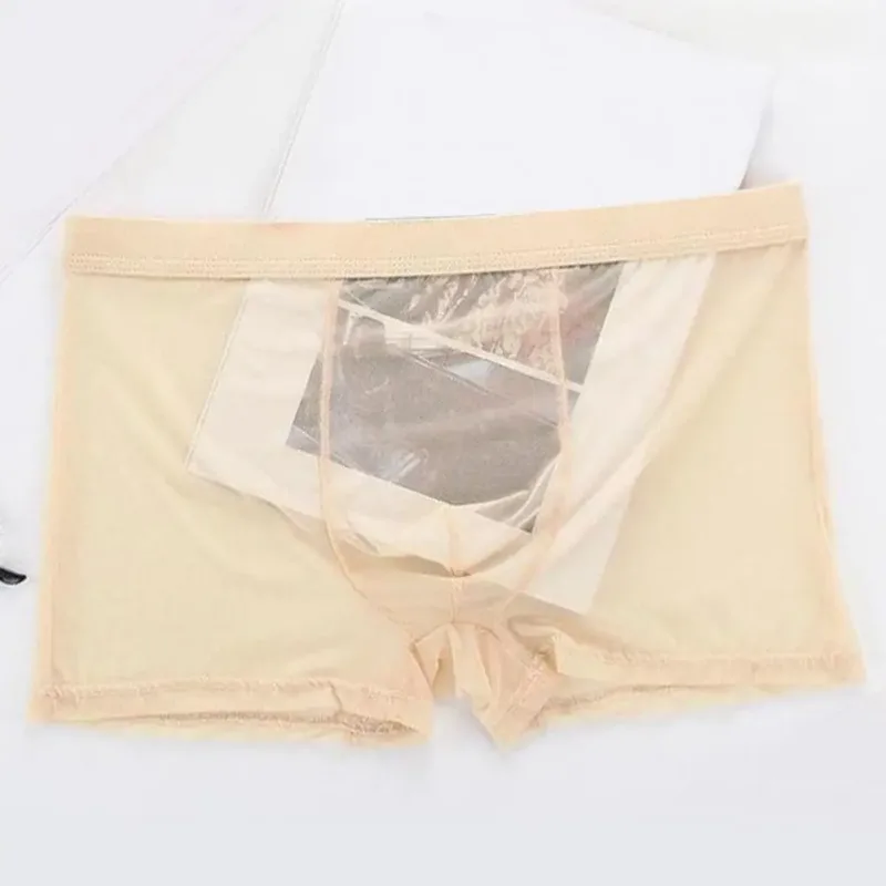 Transparent Boxers for Men See Through Male Underpants Sexy Mesh Low Waist Ice Silk Thin Cooling Men Panties Men Underwear — image 3
