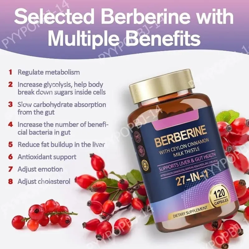 27 in 1 Berberine Supplement with Ceylon Cinnamon Milk Thistle for Liver Gut Health Immunity Men & Women 120 Vegan Capsules — image 5