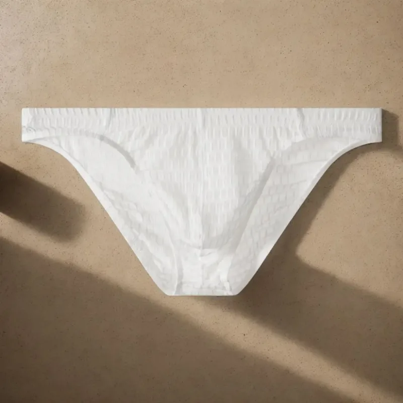 Atmungsaktive Herren-Slips mit niedriger Taille, transparent, ultradünn, aus Eisseide, Unterwäsche, Dessous, Netzhöschen, männlich, bequeme Passform — image 8