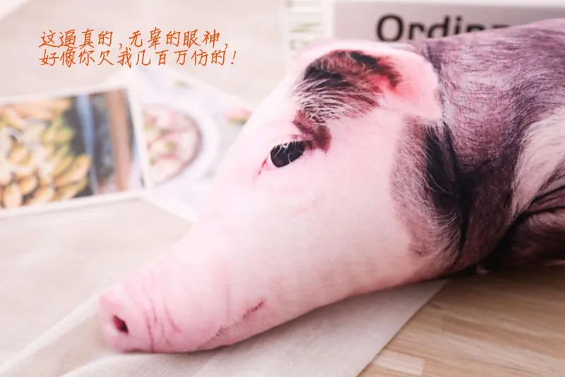 50cm Sleeping Pig Plush Pillow Stuffed Printing Animal Pillow Lumbar Support Bed Chair Cot Decor Cushion — image 7