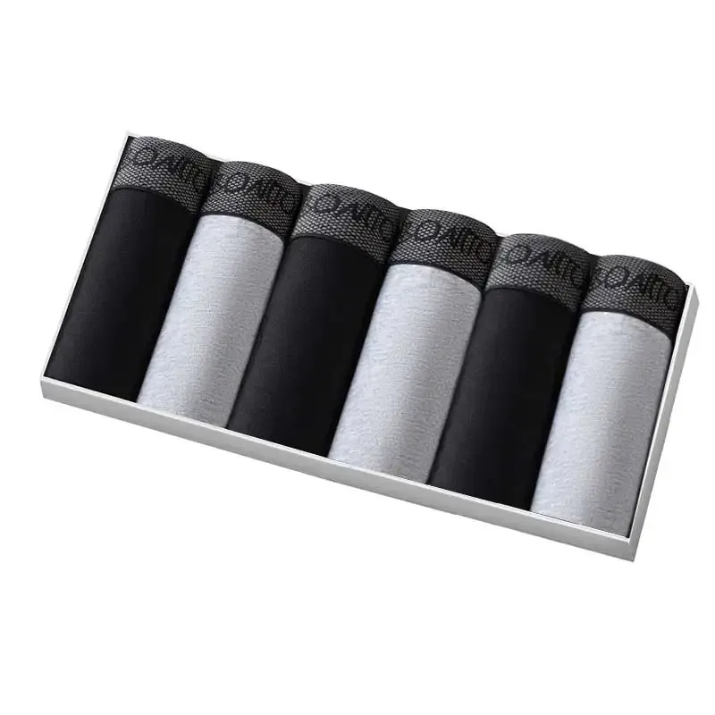 B19-6pcs-2