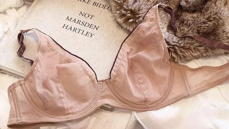 Minimizer 브래지어 플러스 사이즈 Underwire 프랑스 스타일 삼각형 컵 섹시한 메쉬 란제리 세트 지원 32-40 MOYISU 섹시한 브래지어 세트 BC — image 17