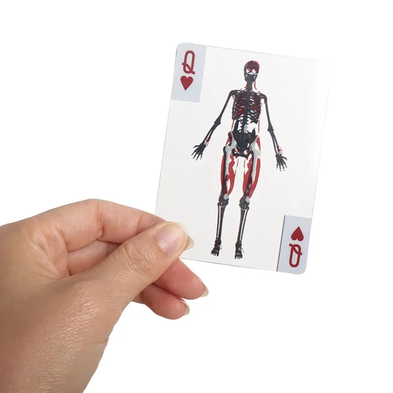 Karty s balíčkem těla Opakovaně použitelné 3D obrazové vzdělávací karty Víceúčelové průhledné hrací karty na tělo pro dárky pro přátele — image 2