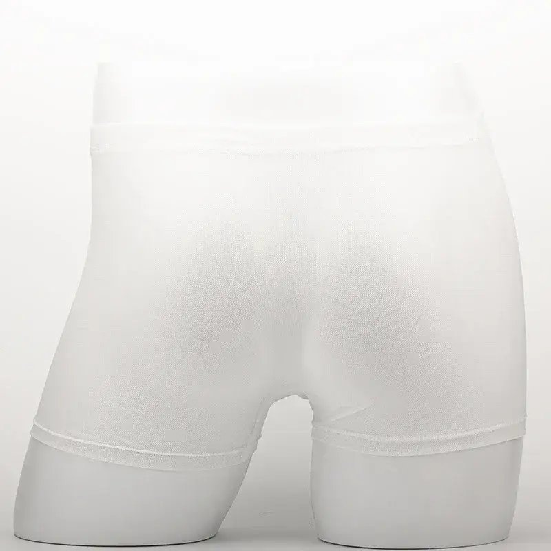 Intimo da uomo Boxer trasparenti Rigonfiamento Seta di ghiaccio See Through Mutande Slip sexy Mutandine a vita bassa Lingerie Intimo 3256808377911341 — image 1