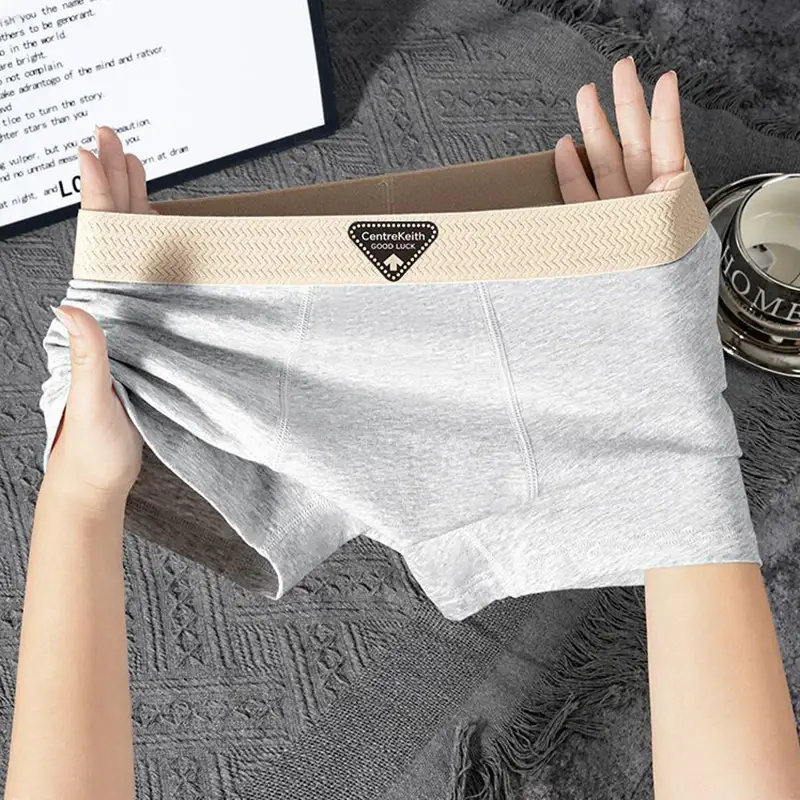 5pcs Pack Men Panties Cotton Underwear High Stretch Boxer Shorts Fashionable Sexy Men Underpant Plus Size L-4XL Breathable Men — image 9