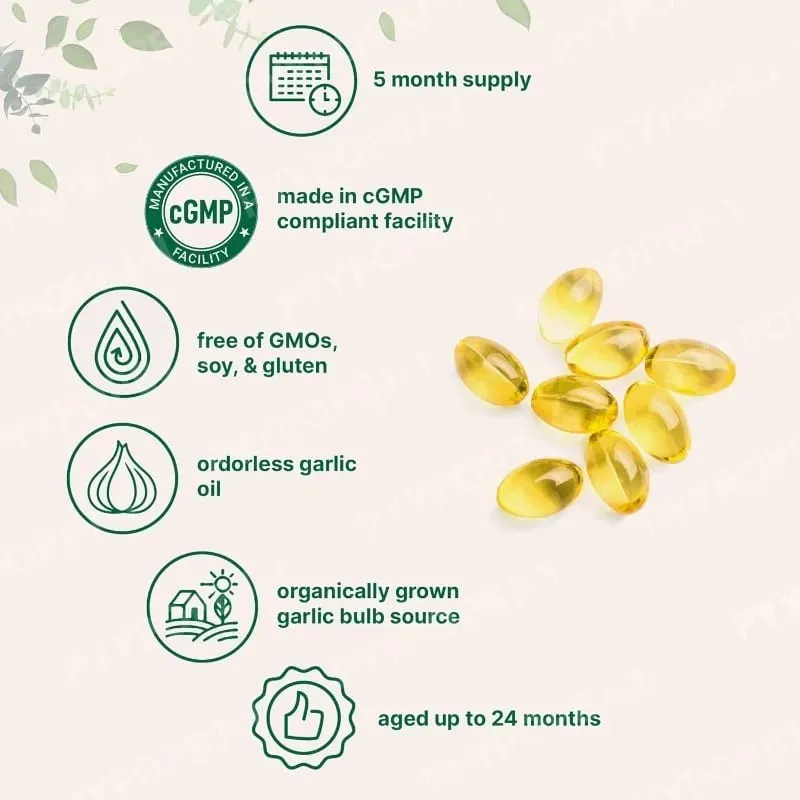 Odorless Garlic Oil Capsules 2 Years Aged Garlic Extract Natural Herbal Supplements Wirh Grown Allium Sativum Bulb 300 Softgels — image 4