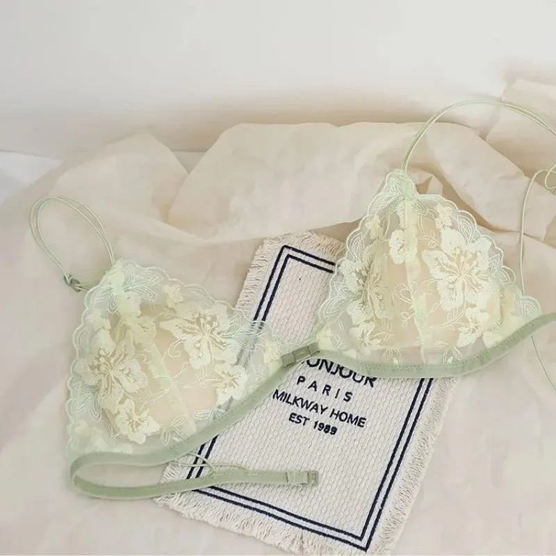 Bralette Renda Perancis Payudara Kecil Wanita Tanpa Wayar Ultra Nipis Seksi Sulaman Mesh Tanpa Underwire Push Up Set Bra Keselesaan BANERDANNI — image 3