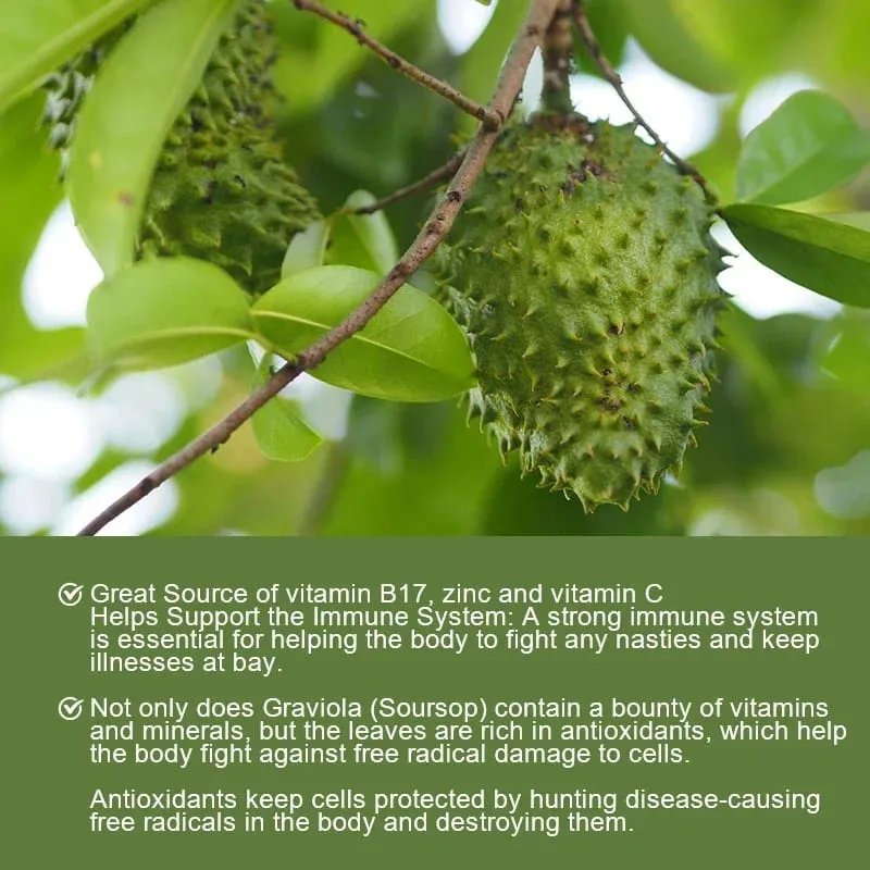 Le capsule di Graviola Soursop da 1950 mg supportano una digestione sana del sistema immunitario, un sonno migliore e un'attività antiossidante naturale — image 7