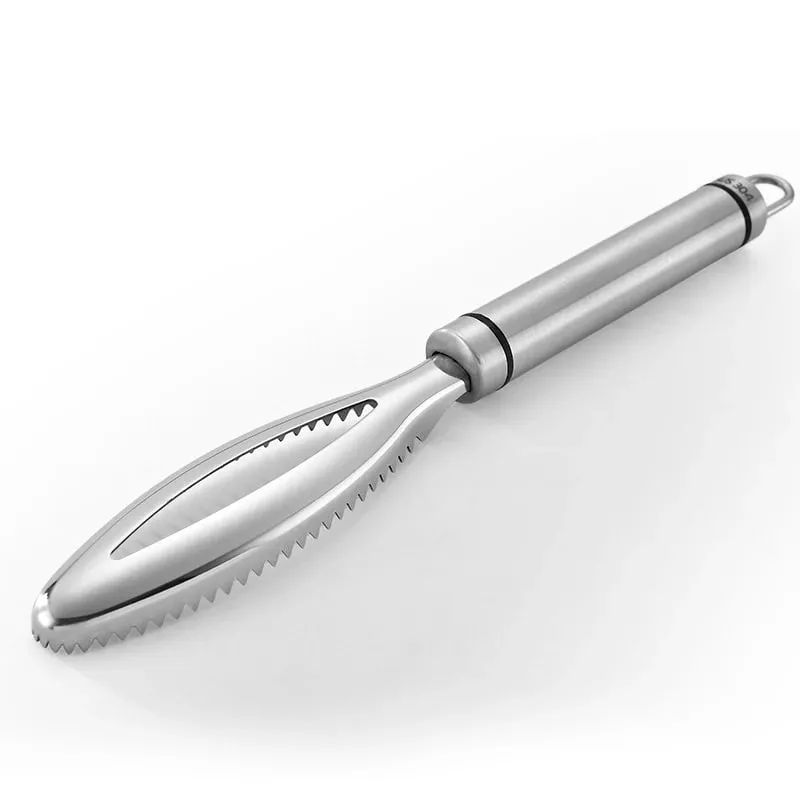 Dissolvant efficace d'écailles de poisson, outil de nettoyage de poisson en acier inoxydable, brosse de peau de poisson, éplucheur d'échelle, outils de cuisine — image 11