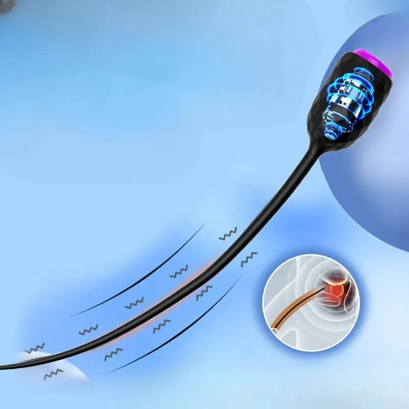 ยาว Urethral Vibrator Catheter ท่อปัสสาวะเสียง Dilator นวด 10 ความเร็ว Dildo Vibrator Catheter อวัยวะเพศชาย Plug เพศของเล่นสำหรับผู้ชายเกย์ — image 5