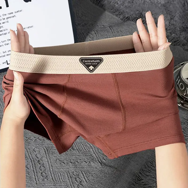 5pcs Pack Men Panties Cotton Underwear High Stretch Boxer Shorts Fashionable Sexy Men Underpant Plus Size L-4XL Breathable Men — image 8