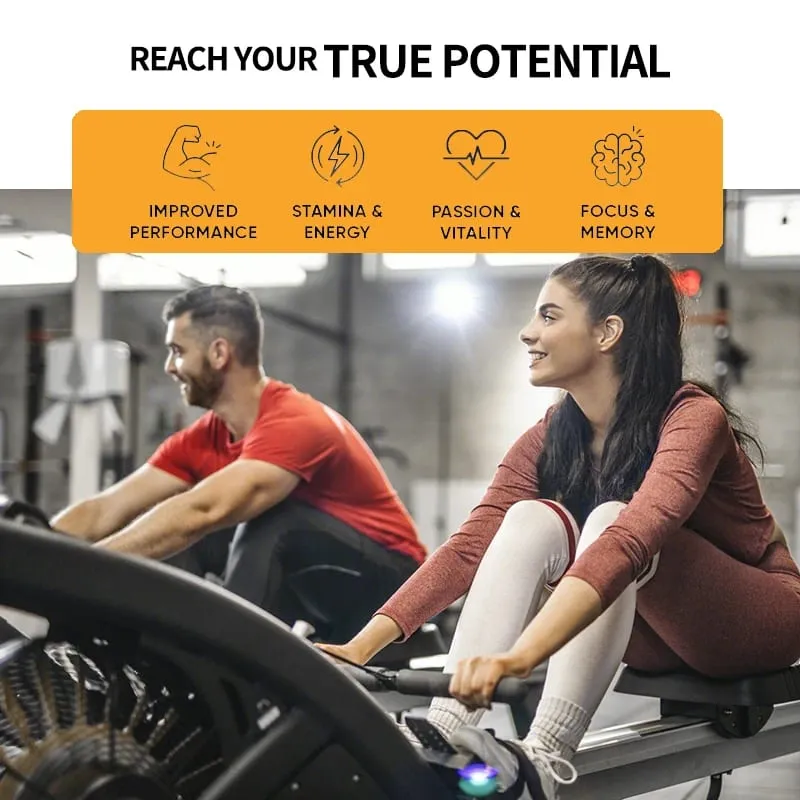 โสม + อาหารเสริมแปะก๊วย Biloba ช่วยเพิ่มโฟกัสพลังงานรองรับประสิทธิภาพทางปัญญาของนักกีฬาและสุขภาพหัวใจ 120 แคป — image 7