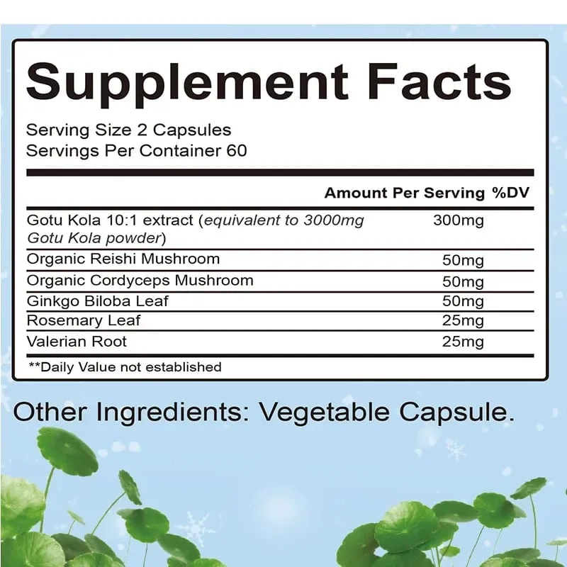 Gotu Kola Capsules - ระบบภูมิคุ้มกันความรู้ความเข้าใจสมอง อาหารเสริมพลังงานผิวและการไหลเวียน - อาหารเสริมที่ไม่ใช่จีเอ็มโอและปราศจากกลูเตน — image 3