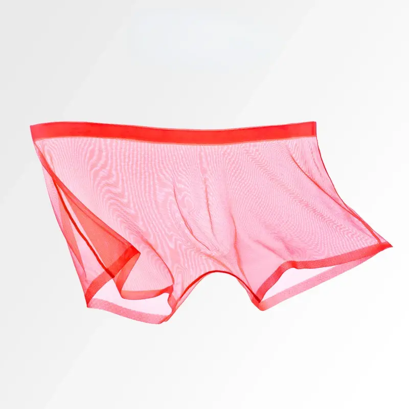 Herrenunterwäsche, transparente Boxer, Ausbuchtung, Eisseide, durchsichtige Unterhose, sexy Slips, niedrige Taille, Höschen, Dessous, Dessous — image 10