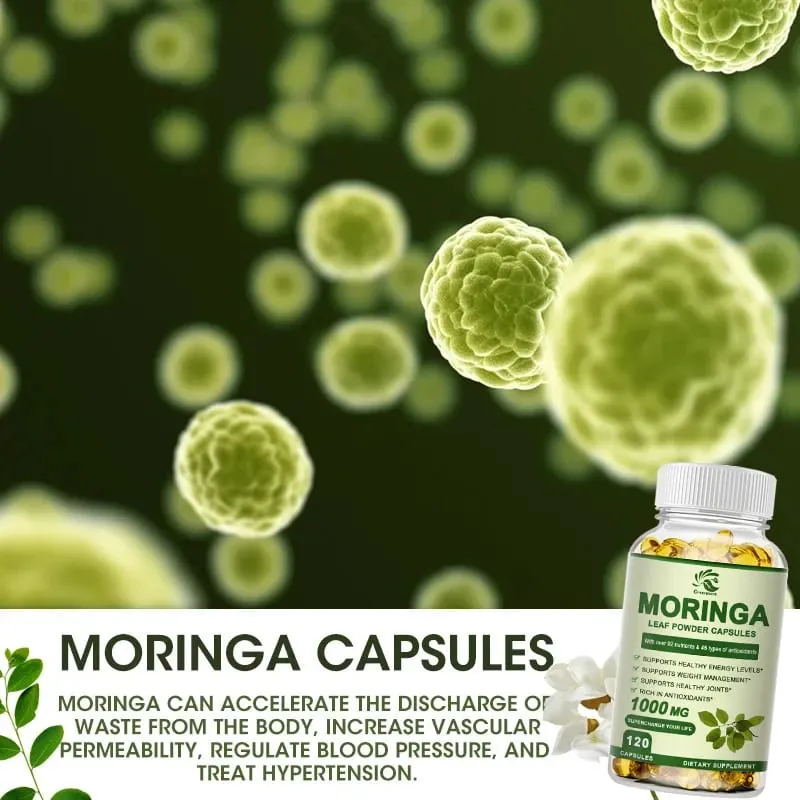 Greensure Moringa Oleifera 1000 mg Kapseln Extra Potenz 50:1 Extrakt Energetisierendes Antioxidans 60/120 Vegetarische Kapseln — image 6