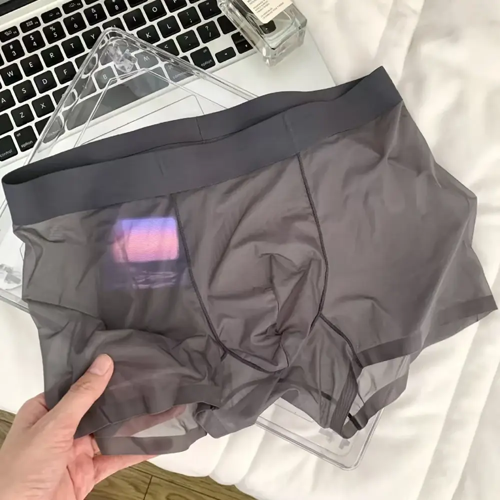 Mutandine da uomo elastiche sexy da uomo Asciugatura rapida Boxer ultrasottili Boxer trasparenti Intimo U Custodia rigonfiamento Sexy Und