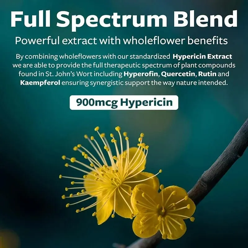 St. John's Wort - Relaxation Supplement That Helps Soothe The Nervous System Relieve Stress Improve Mood and Regulate Sleep — image 5