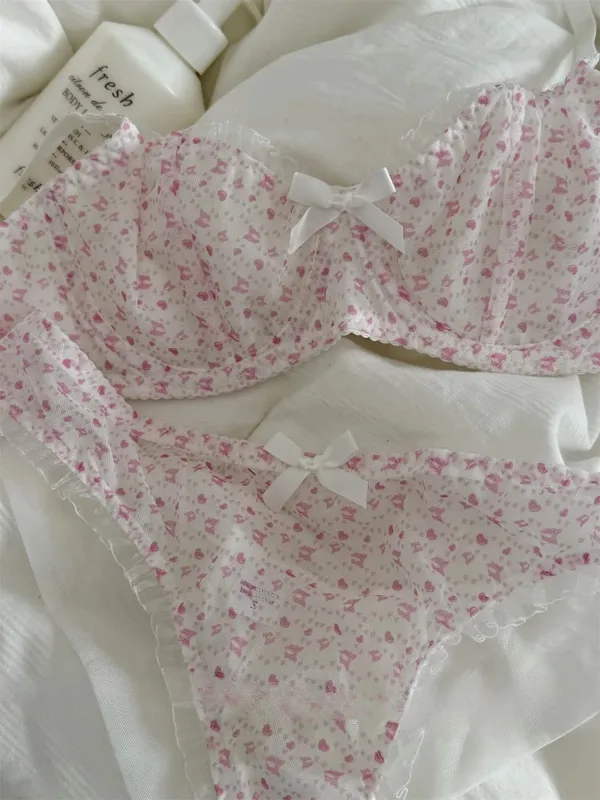 Seluar dalam sulaman mesh nipis bernafas sokongan atas payudara besar menunjukkan set bra kecil wanita push up pakaian dalam