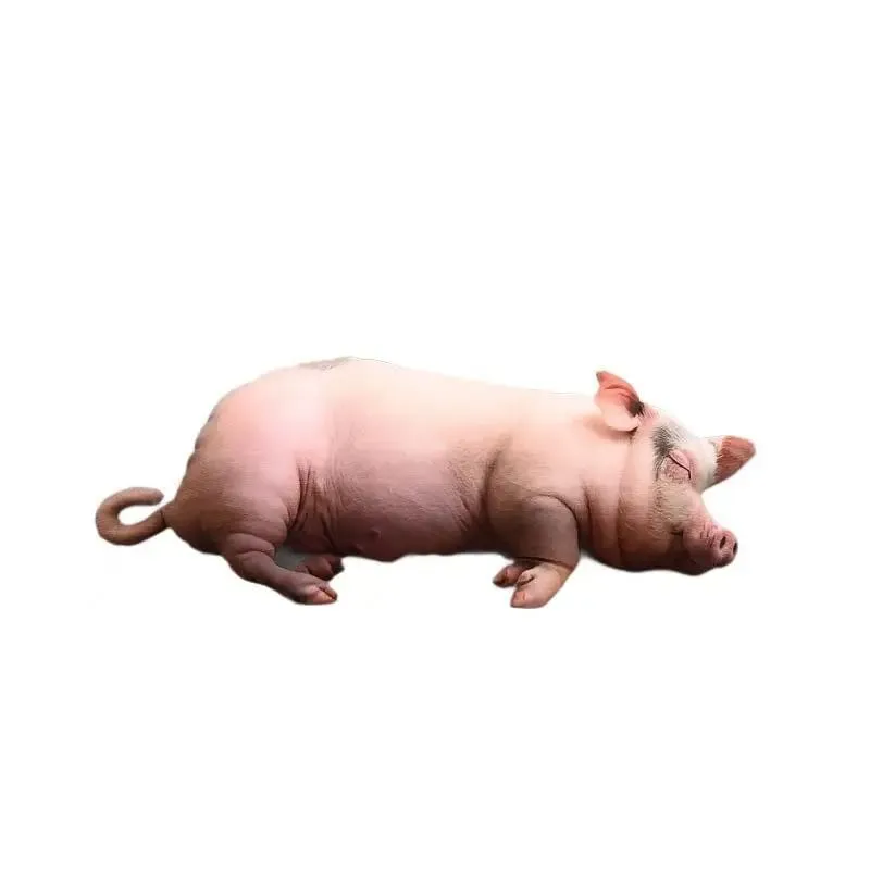 Durável realista dormir porco brinquedo de pelúcia macio algodão recheado travesseiro para carro sofá decoração casa crianças presente — image 4