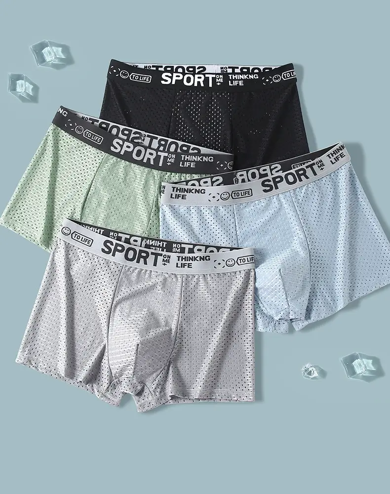 4pcs Summer Mesh Men Boxer Underwear Quick Dry Panties Man Boxer-briefs Breathable XL XXL 3XL 4XL Male Shorts Mens Undershorts — image 3