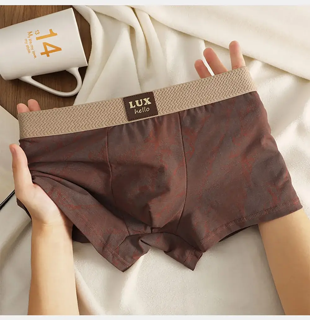 3PCS/Pack 100% Cotton Luxury Print Boxers Hombre 3D Mesh Breathable Antibacterial Pouch Underwear Comfortable Soft Men's Panties — image 9