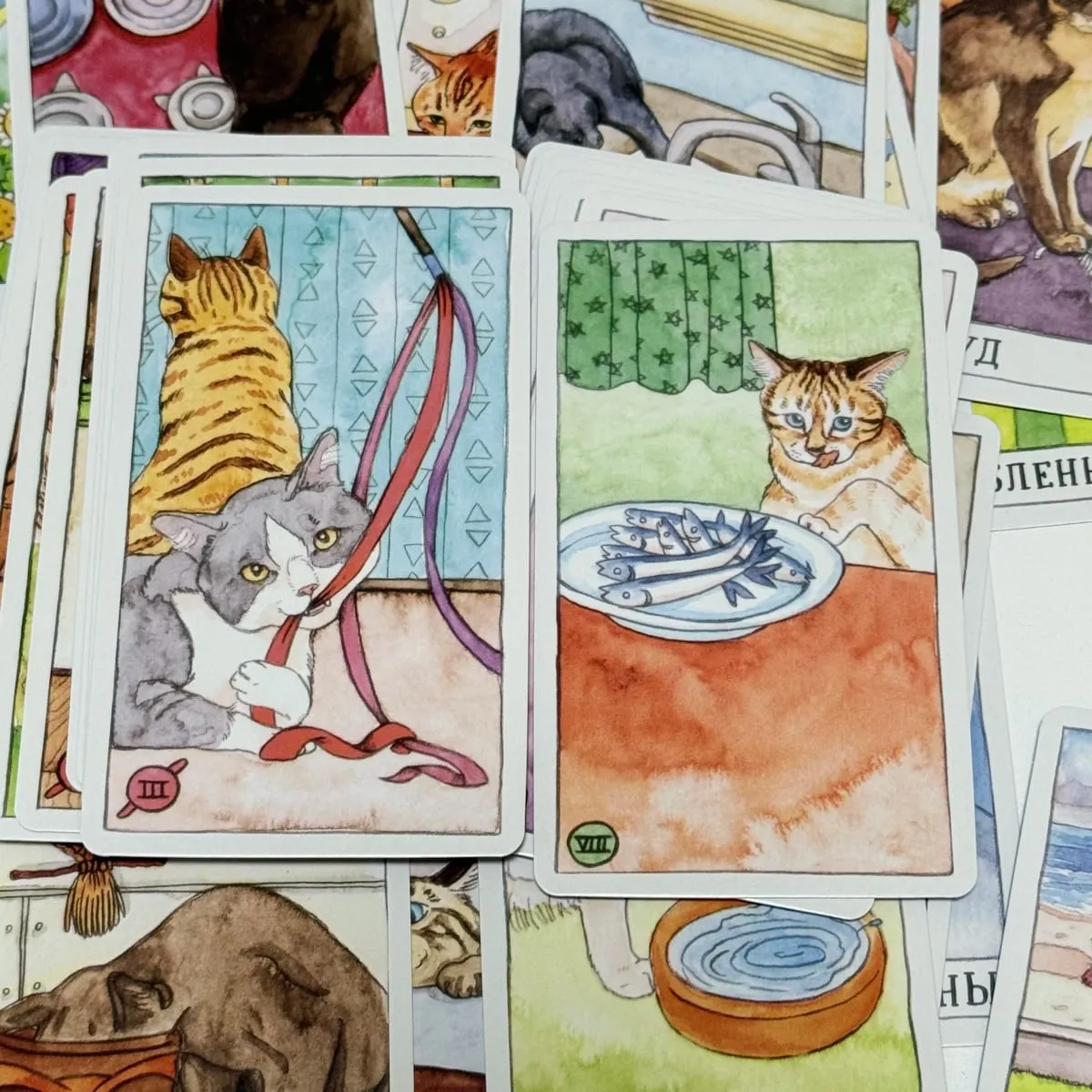 78Pcs Cat Tarot Dek Siri Kucing Comel Versi Rusia Permainan Papan Tilikan Kad Tarot — image 3