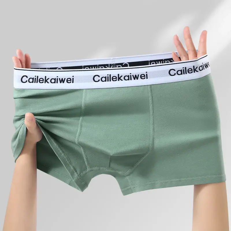 5Pcs Boxer Shorts Men's Underwear Sexy Panties Pure Cotton Solid Elasticity Man Underpants Male Boxers Homme U Convex Lingerie — image 12