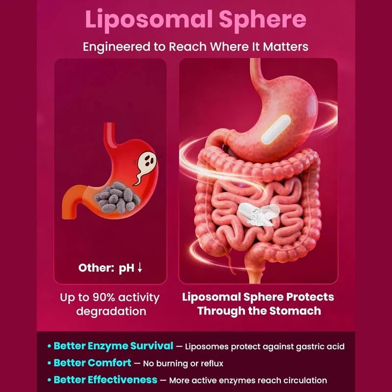 อาหารเสริม Nattokinase พร้อม COQ10 สำหรับการสนับสนุนระบบหัวใจและหลอดเลือดและระบบไหลเวียนโลหิต สุขภาพหัวใจ มังสวิรัติและปราศจากกลูเตน — image 4