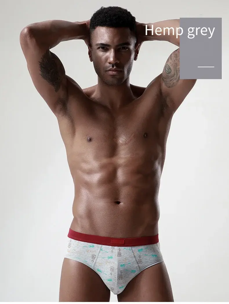 Intimo da uomo in cotone Slip taglie forti Mutande sexy Slip traspiranti Bikini Pantaloncini con stampa gay Cueca Mutandine maschili — image 12