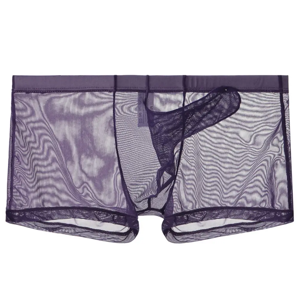Sexy Men Mesh Transparent Lightweight Underwear See Through Breathable Boxer Briefs Panties Bullet Separation Male Boxer Panties