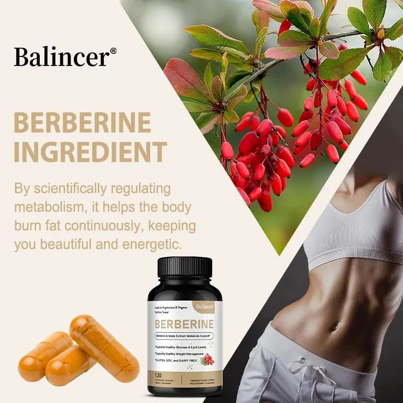Berberine Capsules 500 Mg - Promotes Cardiovascular and Cholesterol Health Support Healthy Weight Management and Immune System — image 4