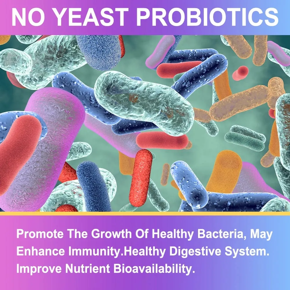 Probiotik Premium dengan Prebiotik dan Enzim Pencernaan Untuk Membantu Penghadaman dan Meningkatkan Sistem Imun - 120 Kapsul — image 2