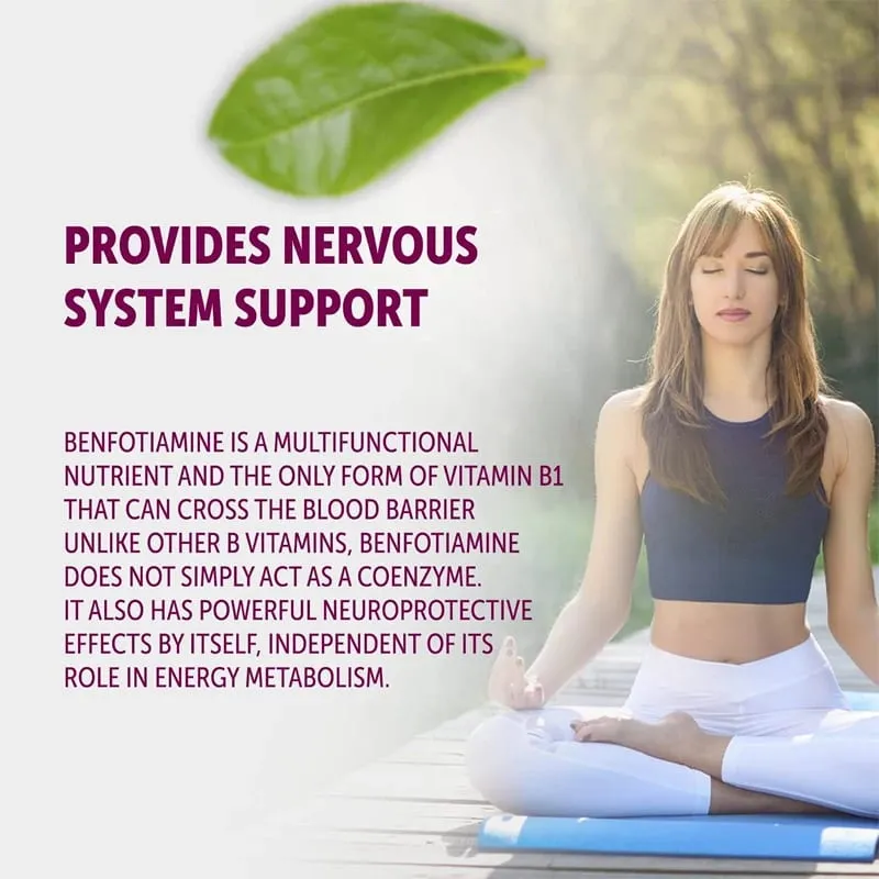 Suplemento diário de tiamina – auxilia no funcionamento do sistema nervoso, apoia a função muscular e é um suplemento energético natural — image 4