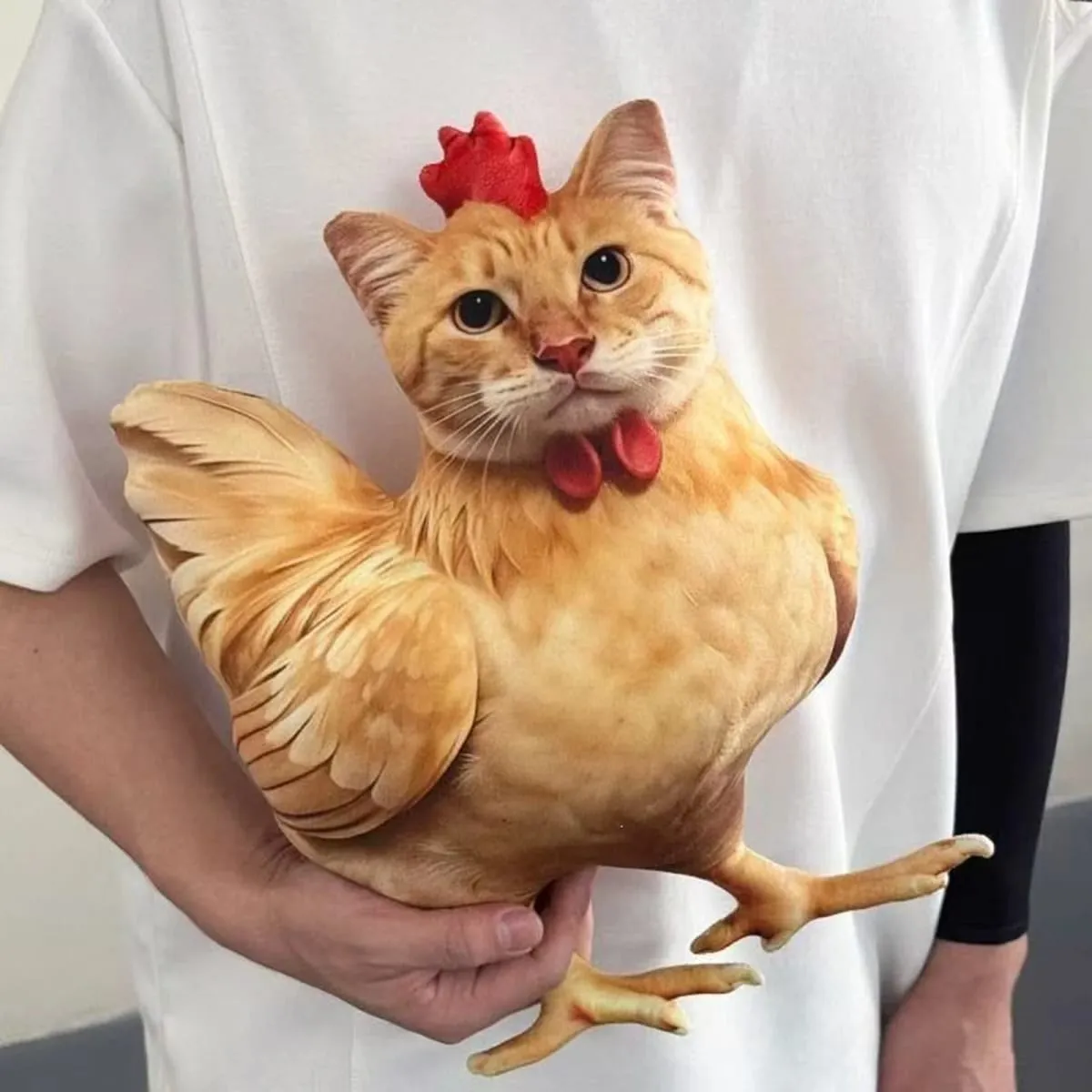 Cat Chicken Funny Novelty Soft Plush Pillow Cute Animal Stuffed Sofa Cushion 3D Orange Tabby Kitten Doll