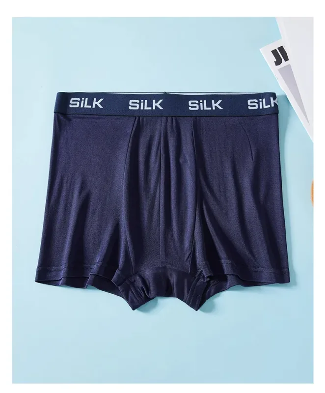 SuyaDream MEN Boxer Shorts 100% seta naturale Mutandine solide sane Biancheria intima in tessuto naturale — image 13