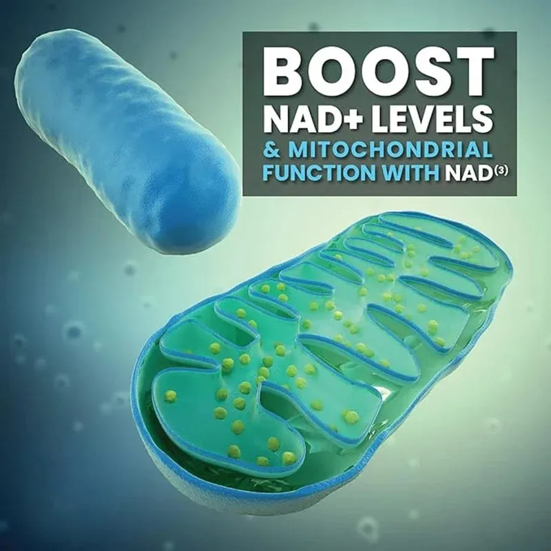 NAD Capsules อาหารเสริม Liposomal NAD+ อาหารเสริม - การป้องกันริ้วรอยแห่งวัย พลังงานเซลล์ การทำงานของหัวใจและสมอง — image 2