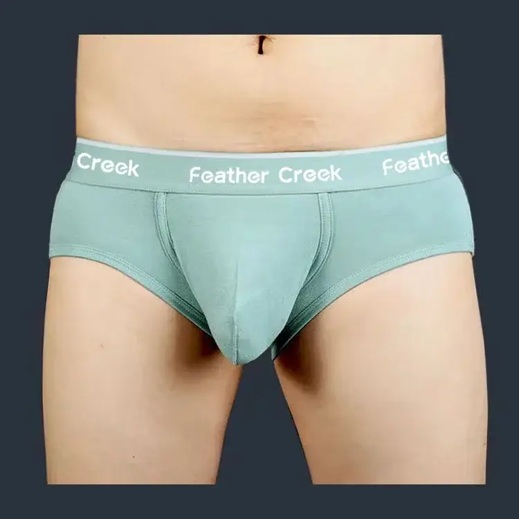 Large Pouch Men's Panties U Convex Front Pocket Flat Foot Triangle Sexy Shorts Fashionable Underwear for Men — image 2