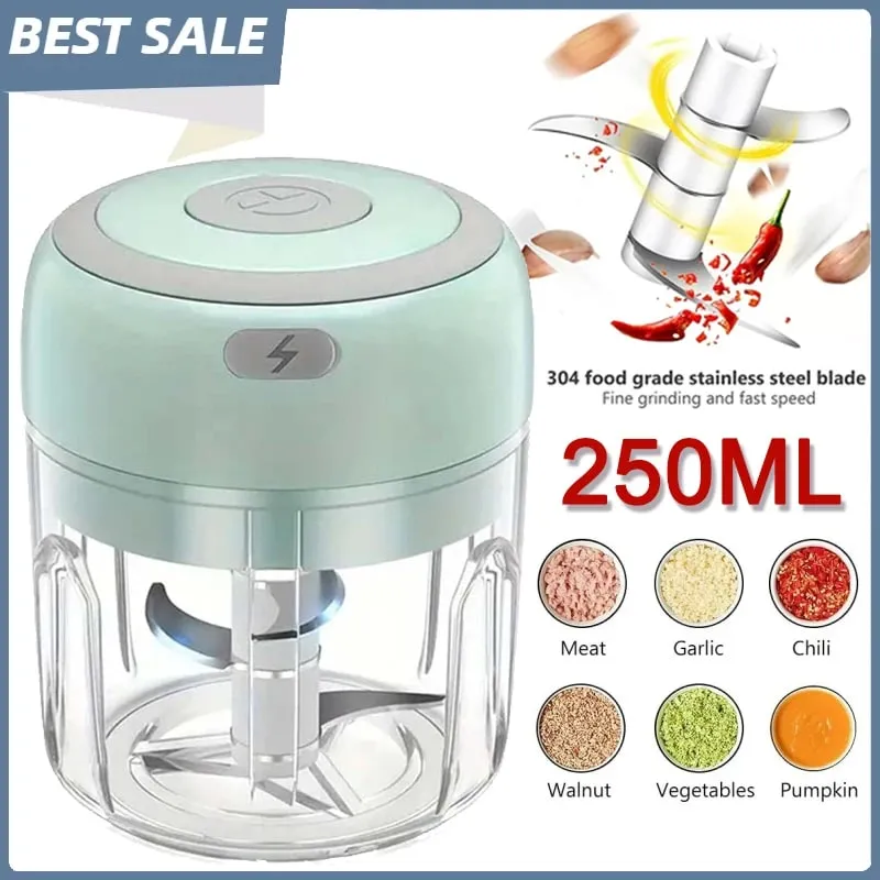 Hachoir à ail électrique en acier inoxydable de 250ML, broyeur de cuisine robuste et Durable pour ail et gingembre, Mini outil, hachoir alimentaire — image 1
