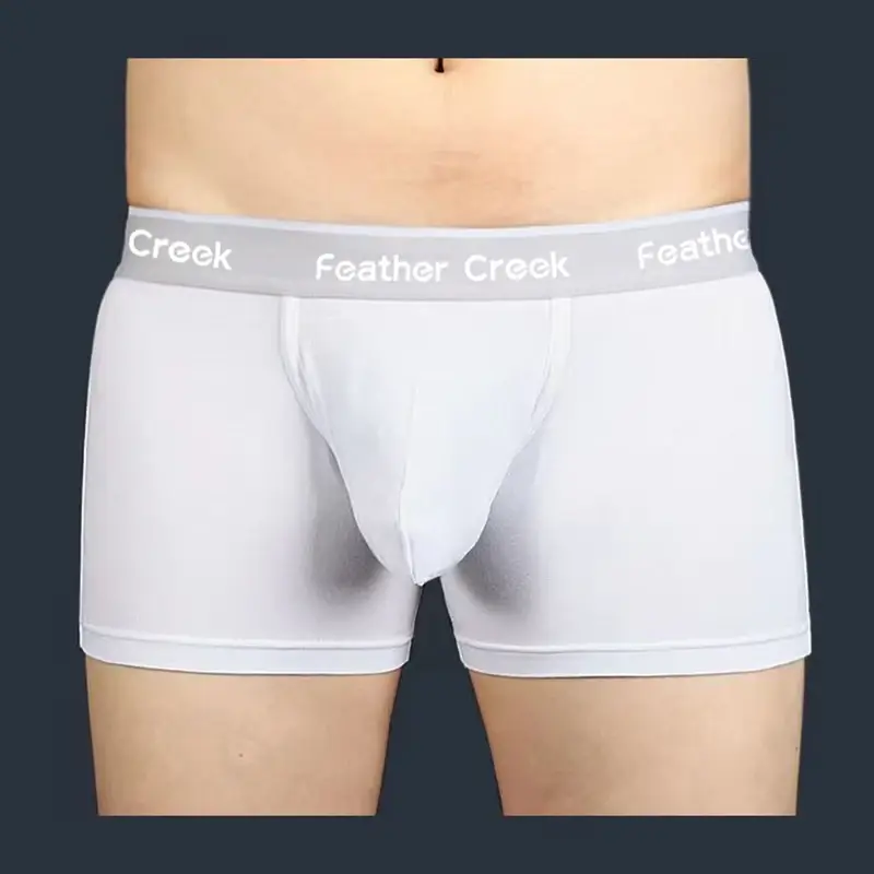 Slip Uomo Large Pouch Underwear U Convex Bulge Enhancing Durable Seamless Cotton Briefs Breathable Low Rise Boxer Shorts Fit — image 6