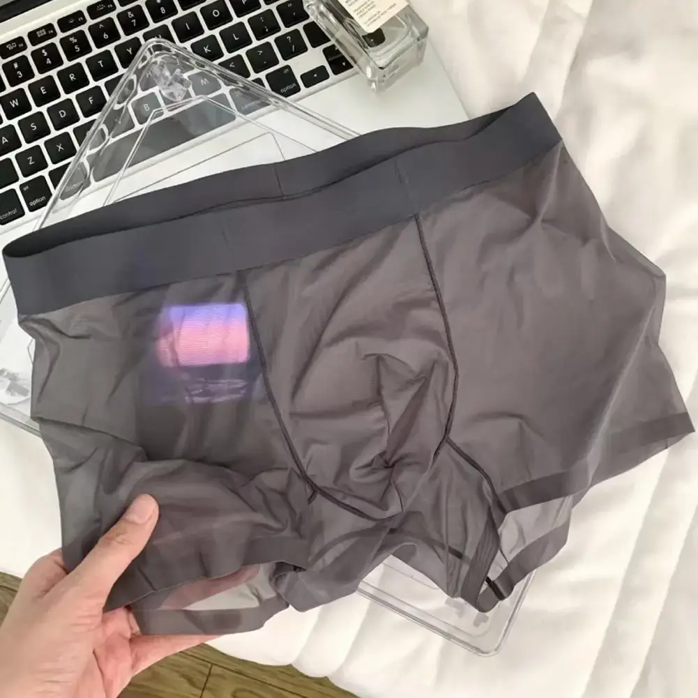 Men Boxer Transparent Lightweight Men Underwear Elastic Mid-Waist U-Convex Thin Perspective Shorts Briefs Seamless Panties — image 9