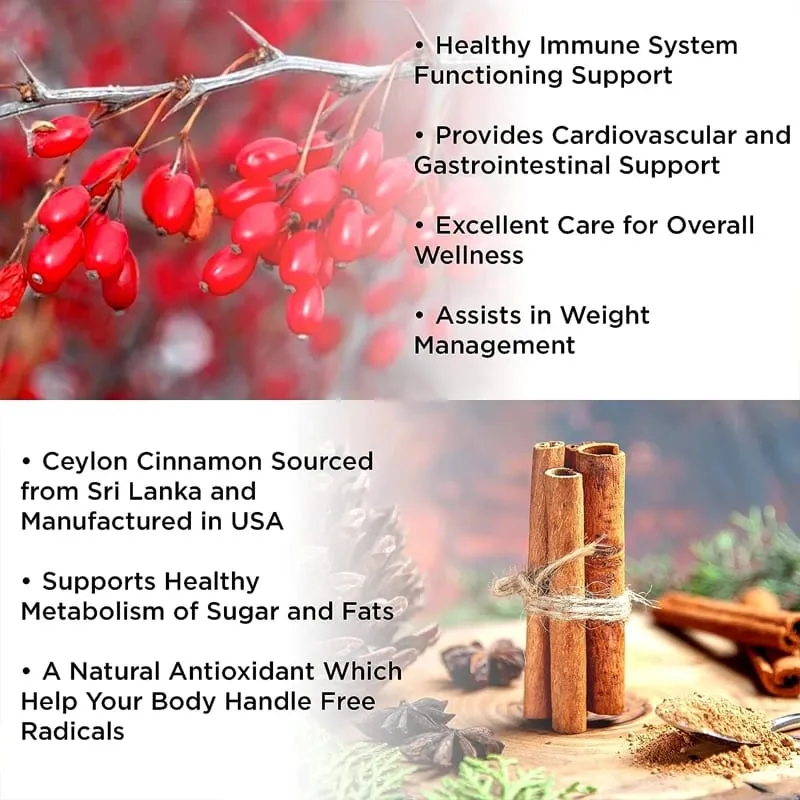 แคปซูล Berberine ประกอบด้วย Ceylon Cinnamon และ Milk Thistle เพื่อสนับสนุนสมดุลกลูโคส สุขภาพตับ การย่อยอาหารและลดน้ำหนัก — image 3