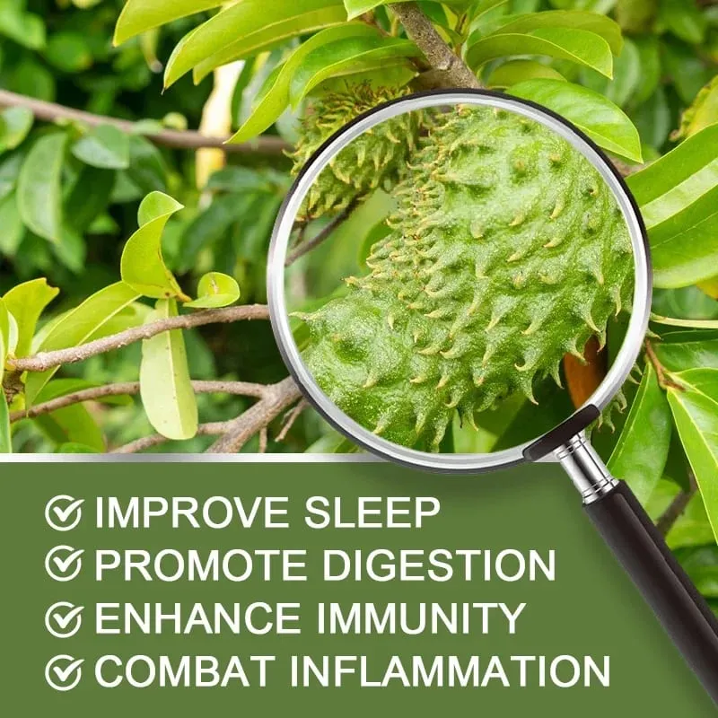 Le capsule di Graviola Soursop da 1950 mg supportano una digestione sana del sistema immunitario, un sonno migliore e un'attività antiossidante naturale — image 5
